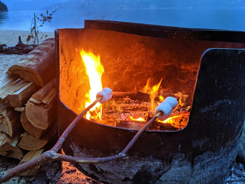 Stick with two marshmallows on it cooking over an fire in a firepit